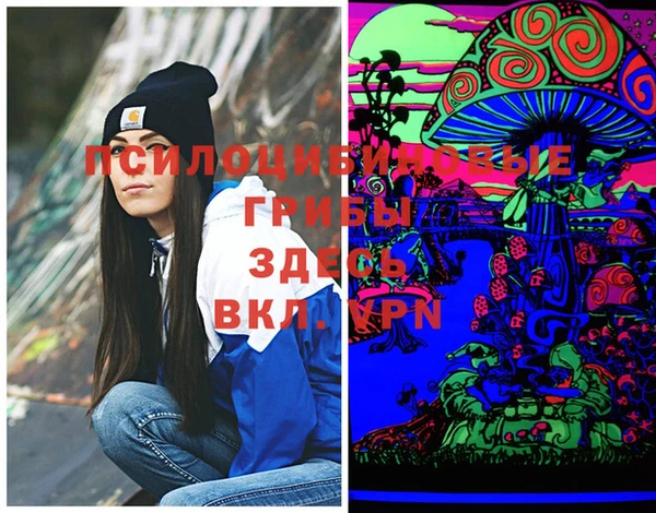 герыч Вяземский
