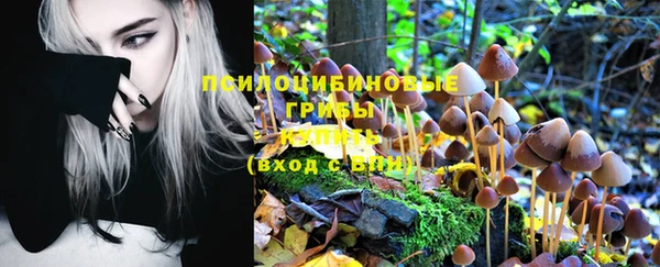 дмт Волоколамск