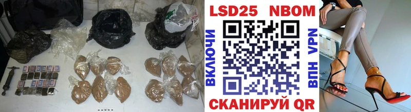где купить наркоту  Каменногорск  ЛСД экстази кислота 